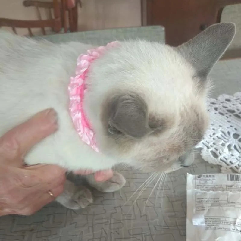Dog/Cat Bell Lace Collar