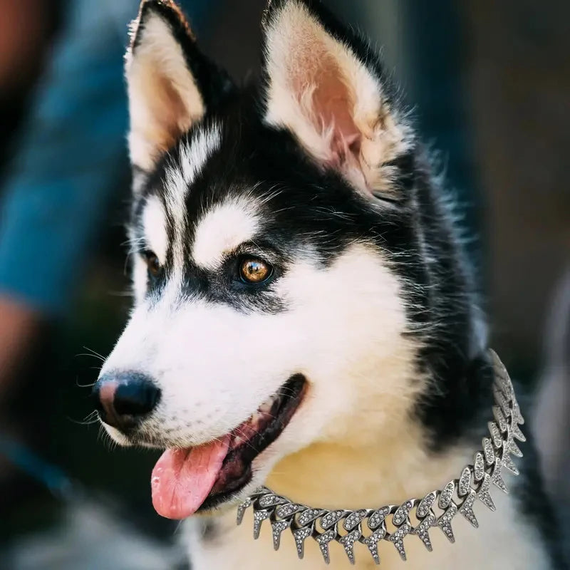 Gold Dog Chain Collar 19MM Thorn Design