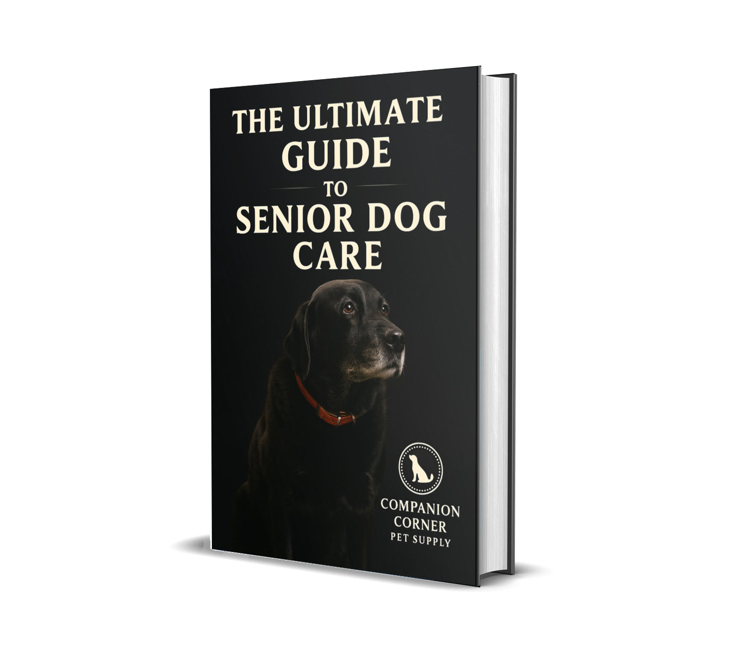 Senior Dog Care 101