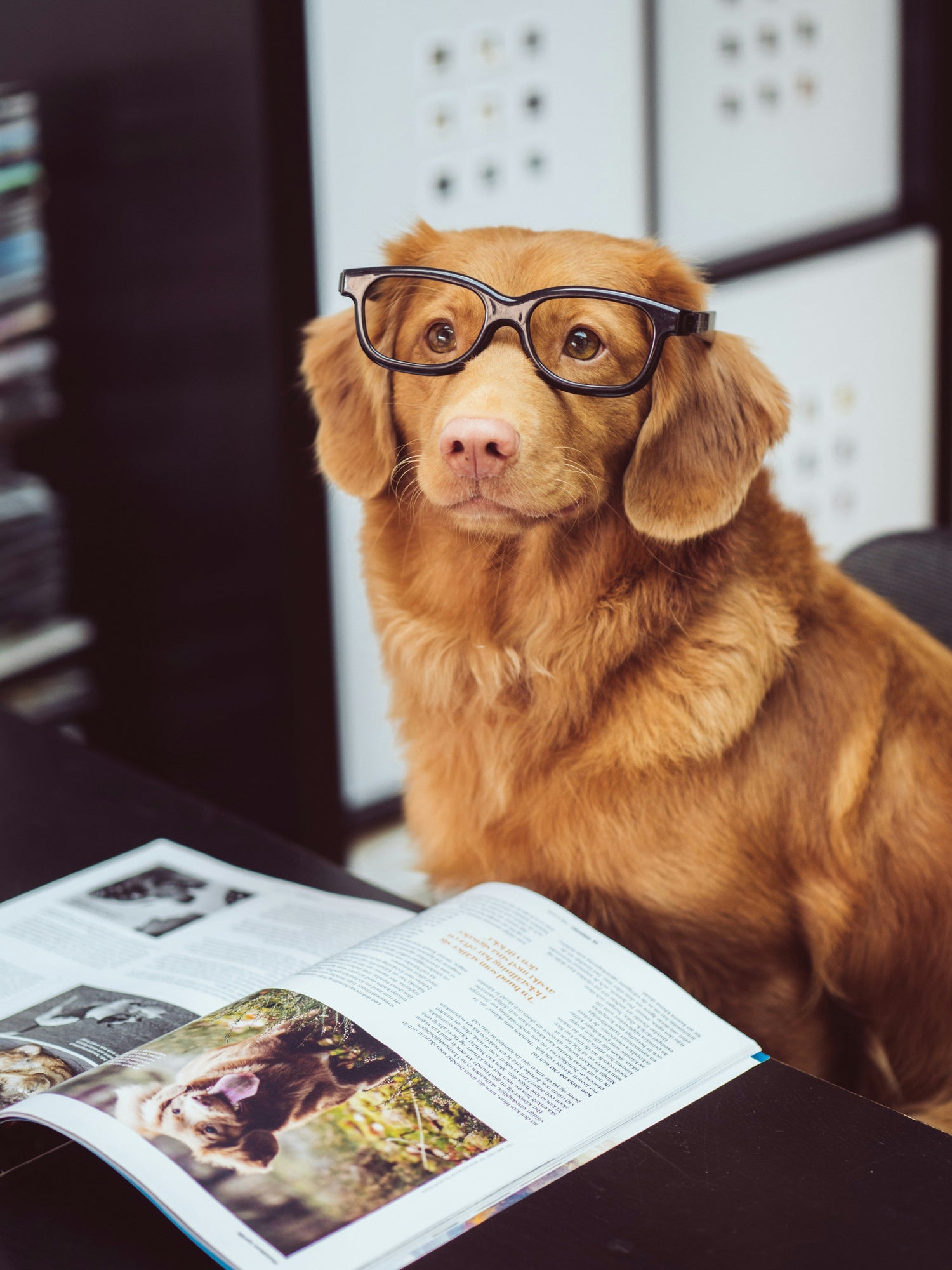 E-Books