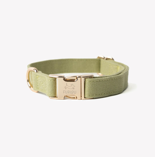 'Green' - Canvas Dog Collar