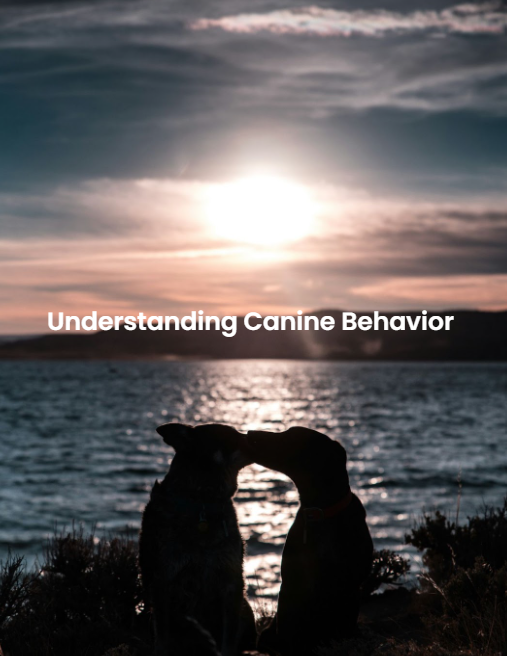 Understanding Canine Behavior