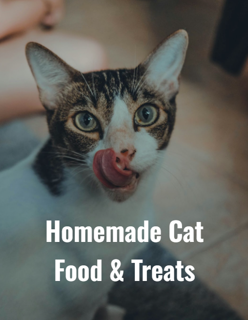 Homemade Cat Food and Treats
