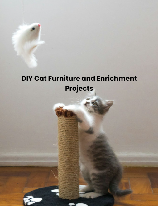 DIY Cat Furniture and Enrichment Projects