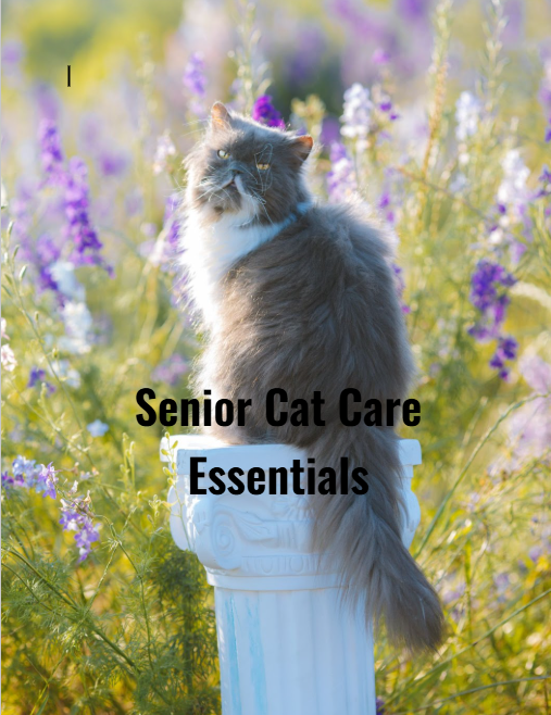 Senior Cat Care Essentials