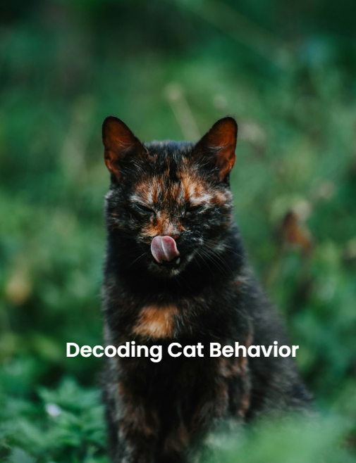 Decoding Cat Behavior