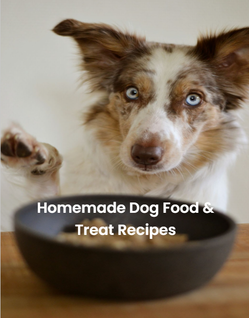 Homemade Dog Food & Treat Recipes