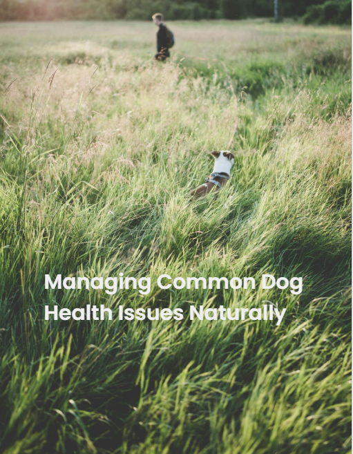 Managing Common Dog Health Issues Naturally