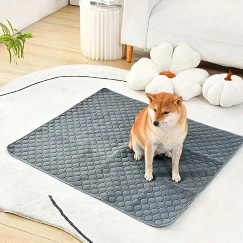 Dog Pee Pad Reusable Washable