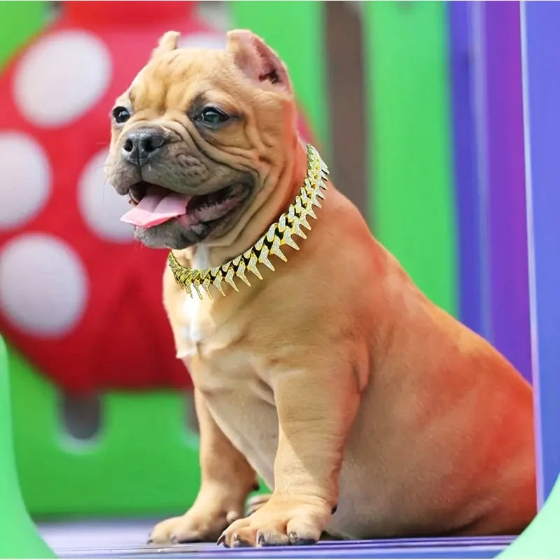 Gold Dog Chain Collar 19MM Thorn Design