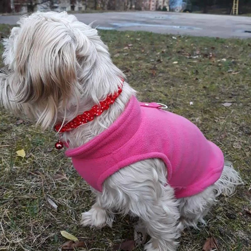 Dog/Cat Bell Lace Collar