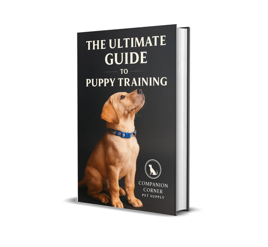 The Ultimate Guide To Puppy Training