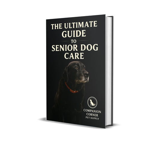 Senior Dog Care 101